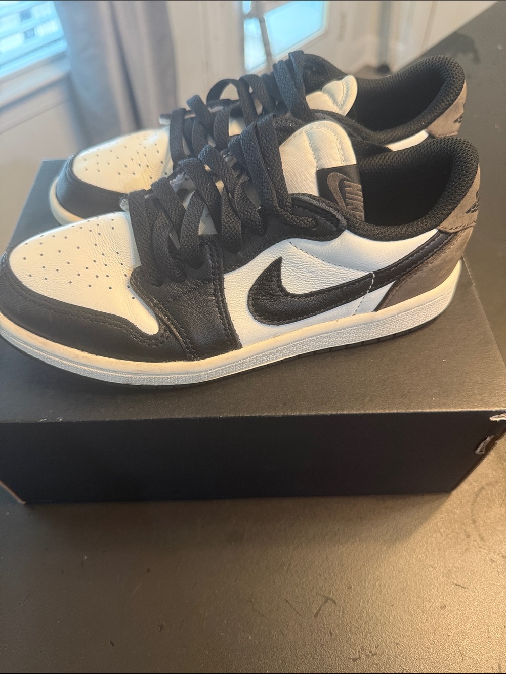 Jordan 1 Retro Low